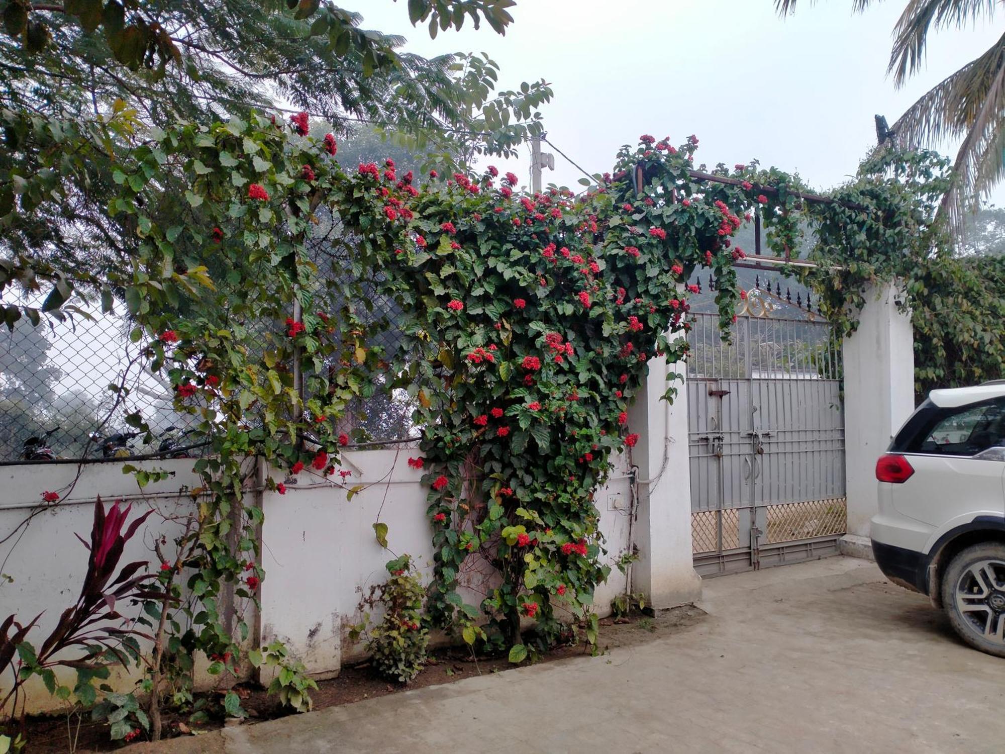 ורנאסי Vedic Villa מראה חיצוני תמונה